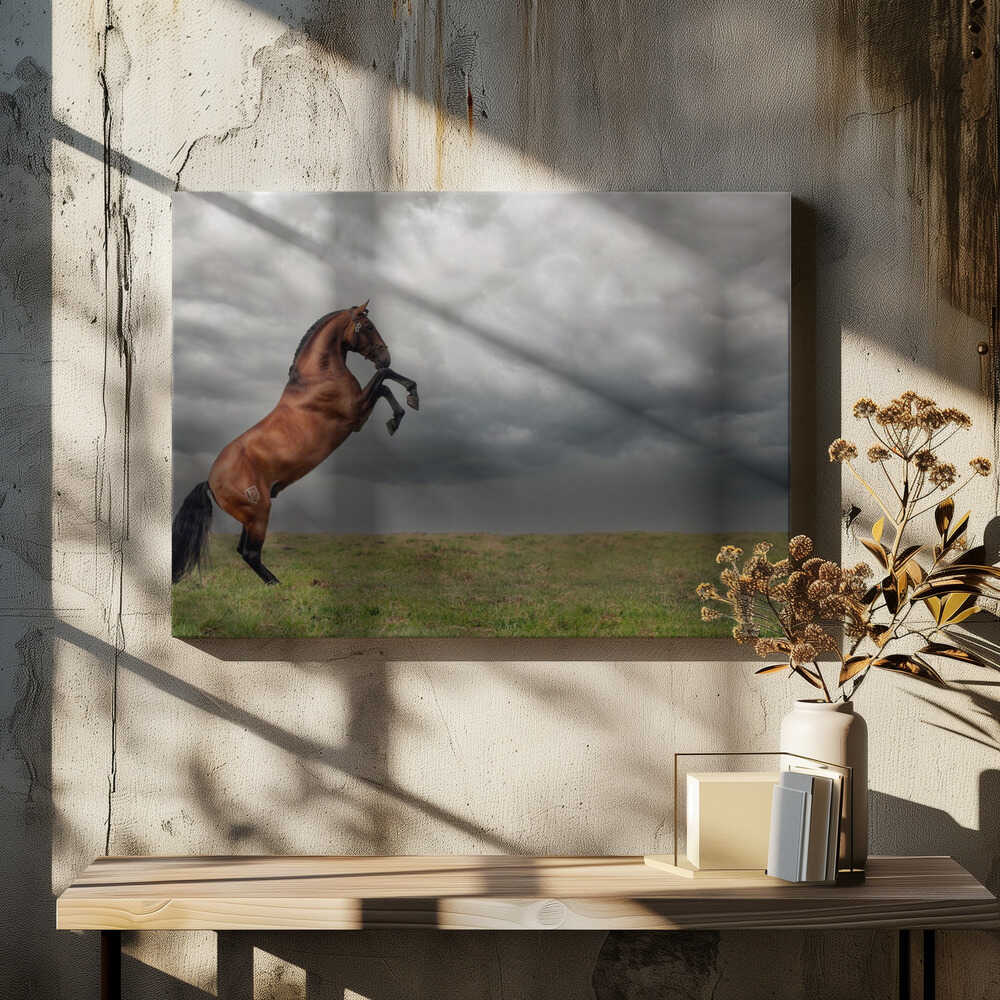 The king of the fields