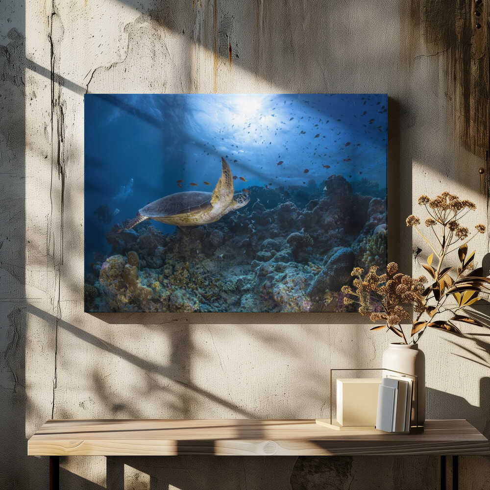 Sunlight and green turtle