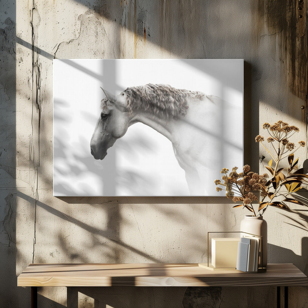 Art Prints of Curly hair…