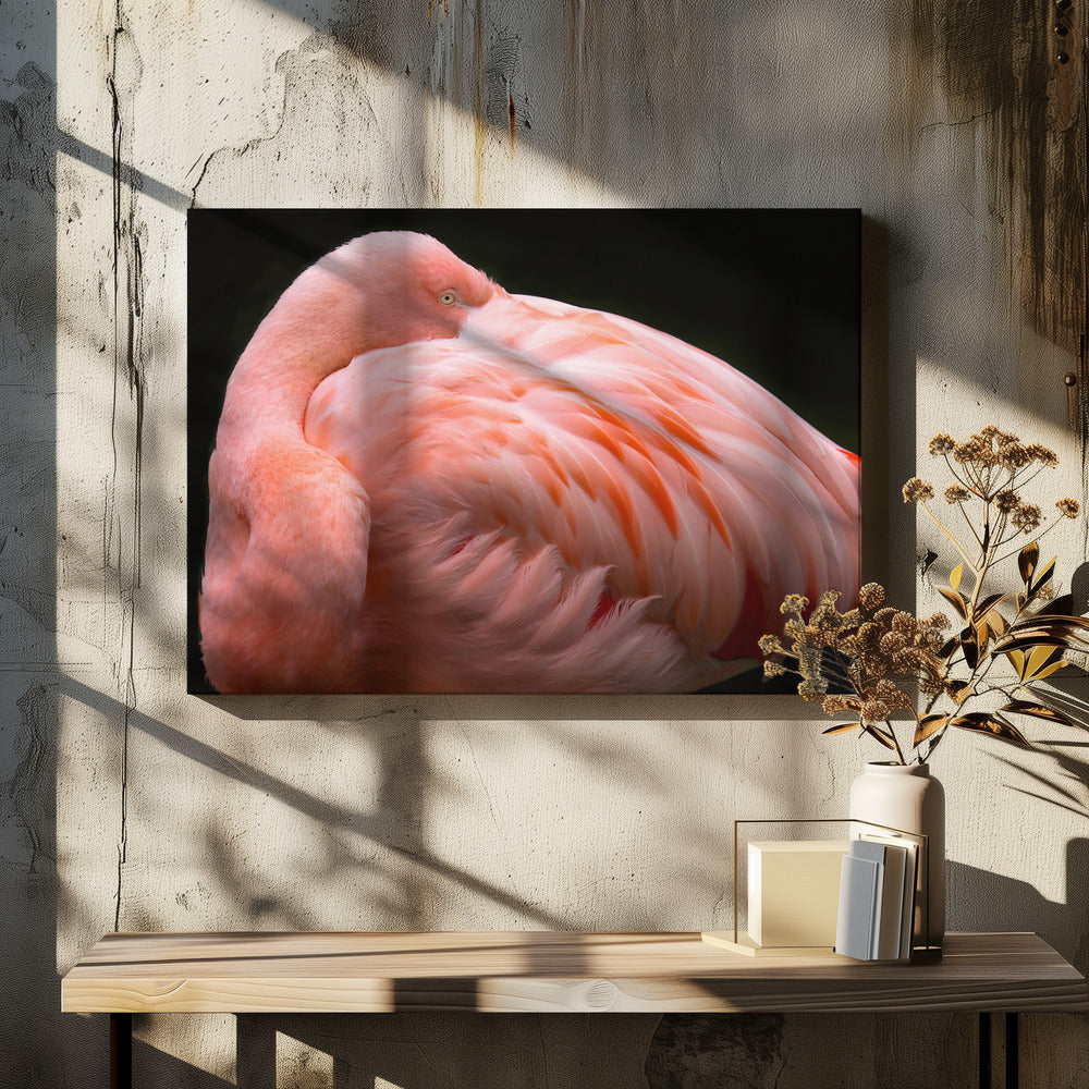 Canvas Art Print A big bundle of feathers