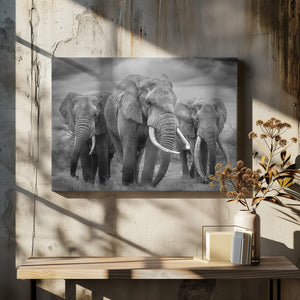 Canvas Art Print The Bull Trio!