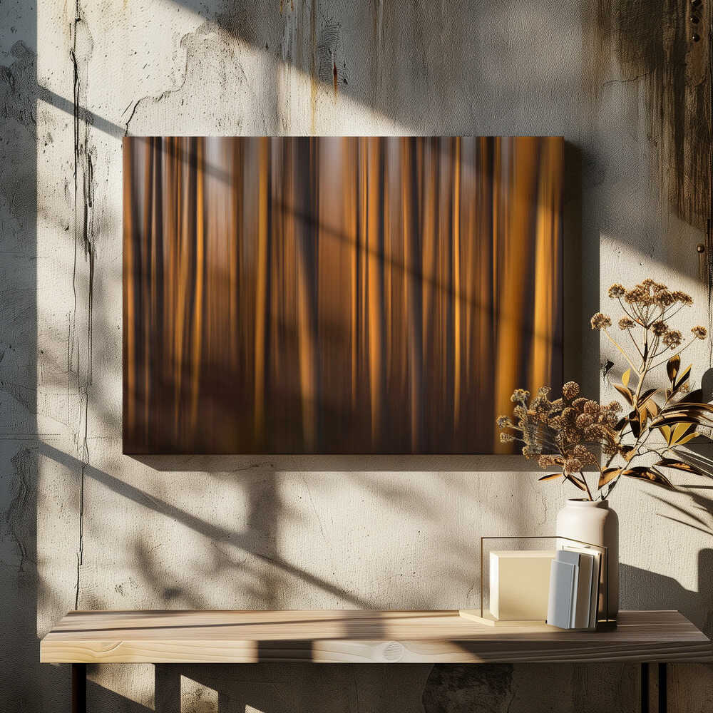 Trees kissed by light