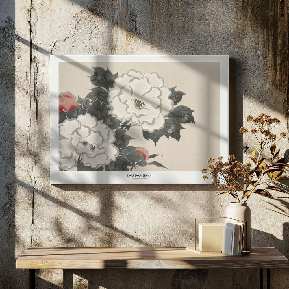 Flowers From Momoyogusa