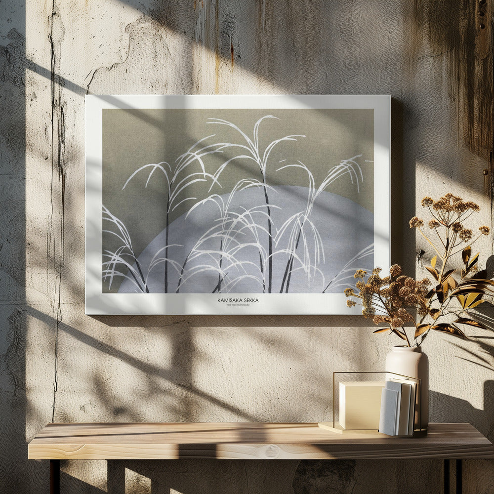 Frost From Momoyogusa