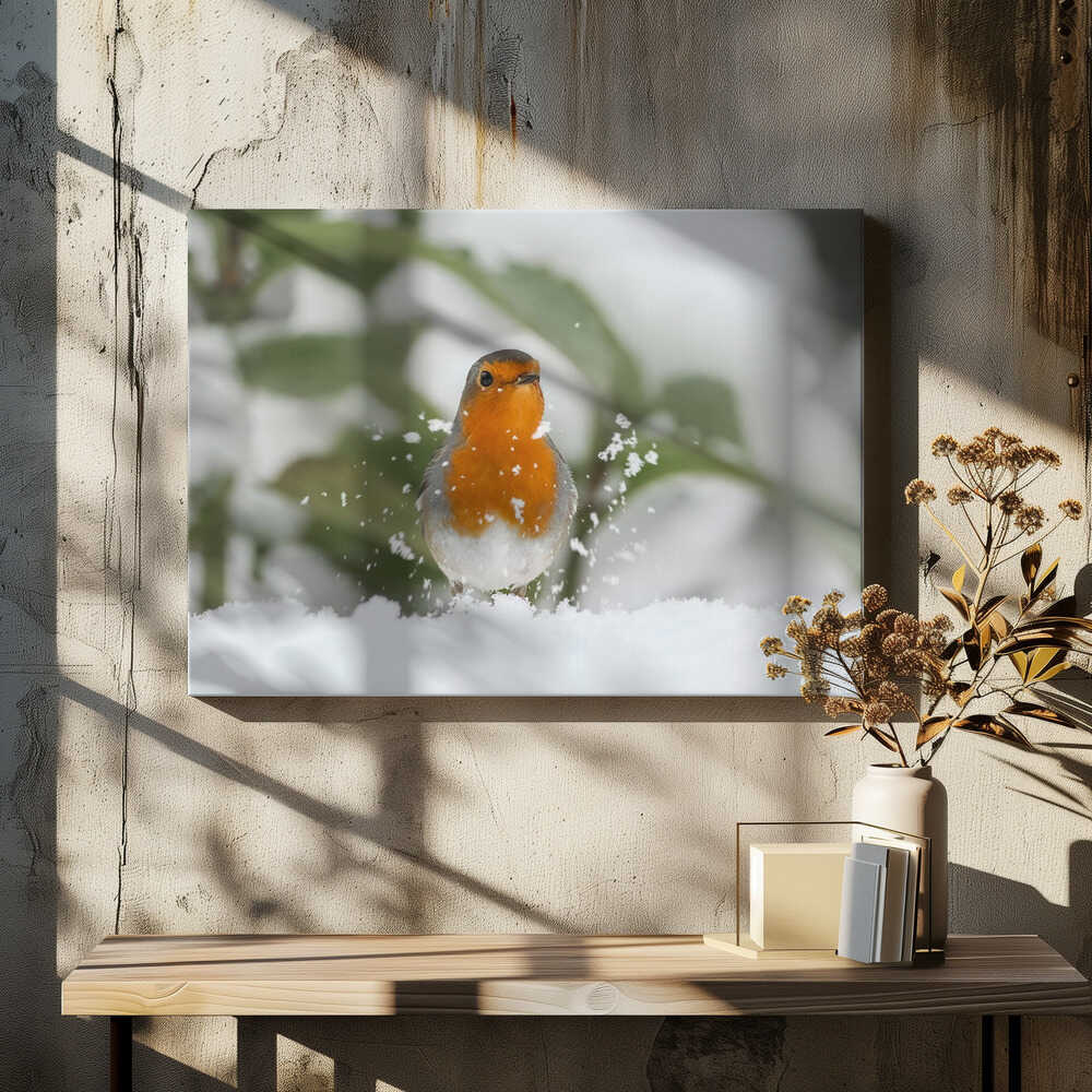 Robin in the snow.