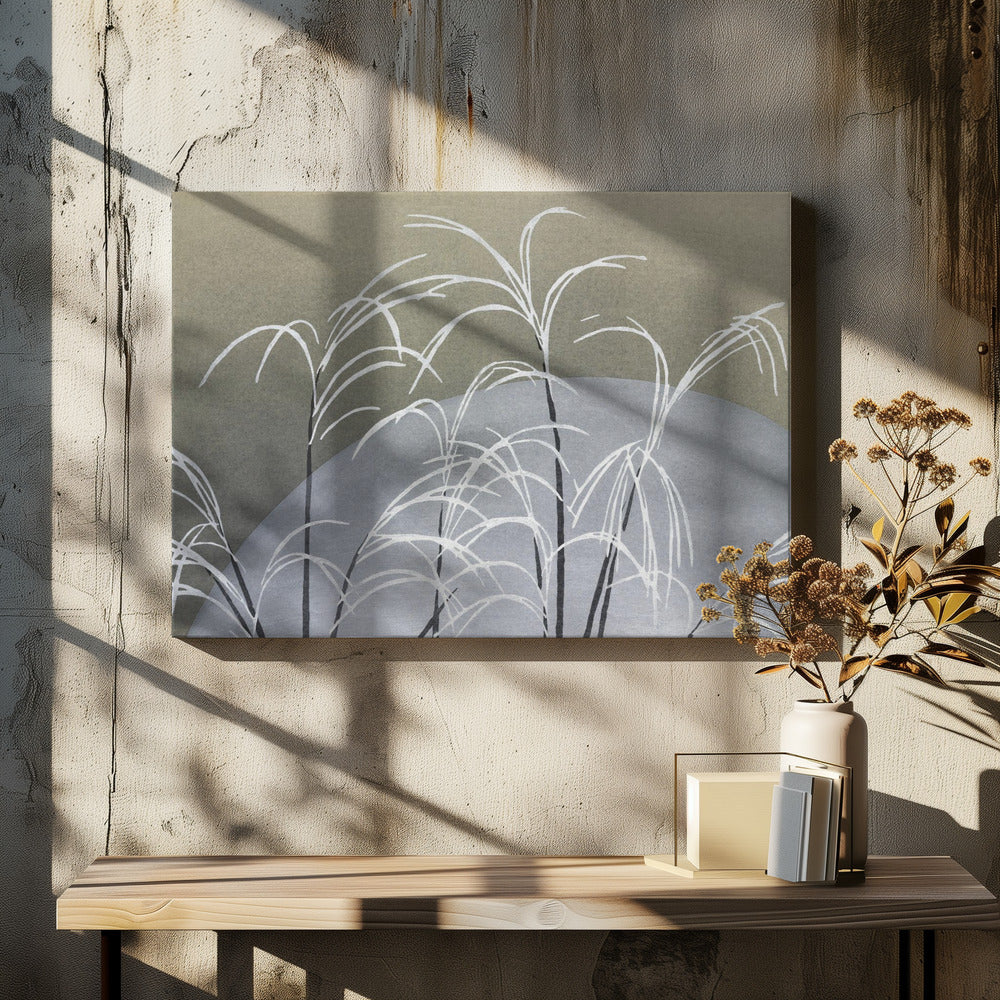 Frost From Momoyogusa