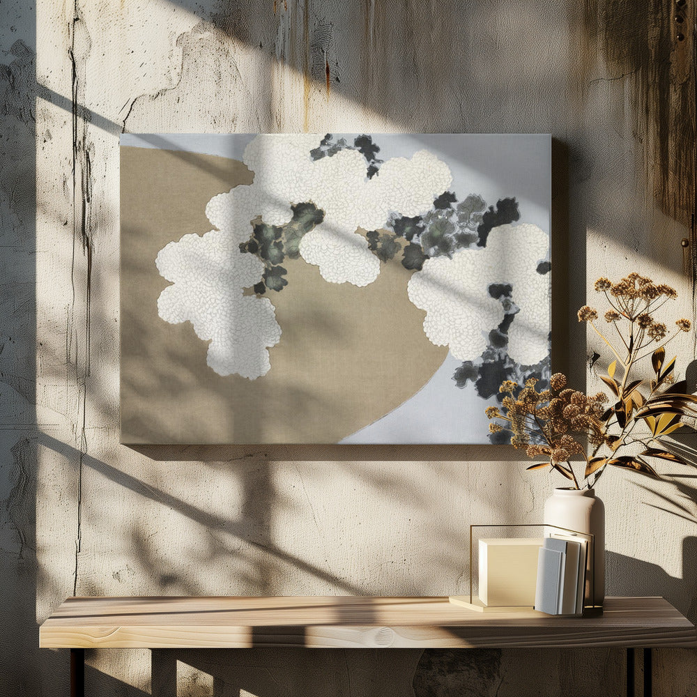 Blossom From Momoyogusa