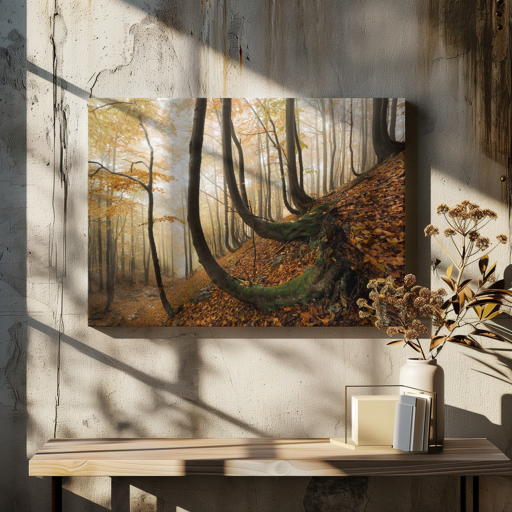 Mystic Autumn Forest