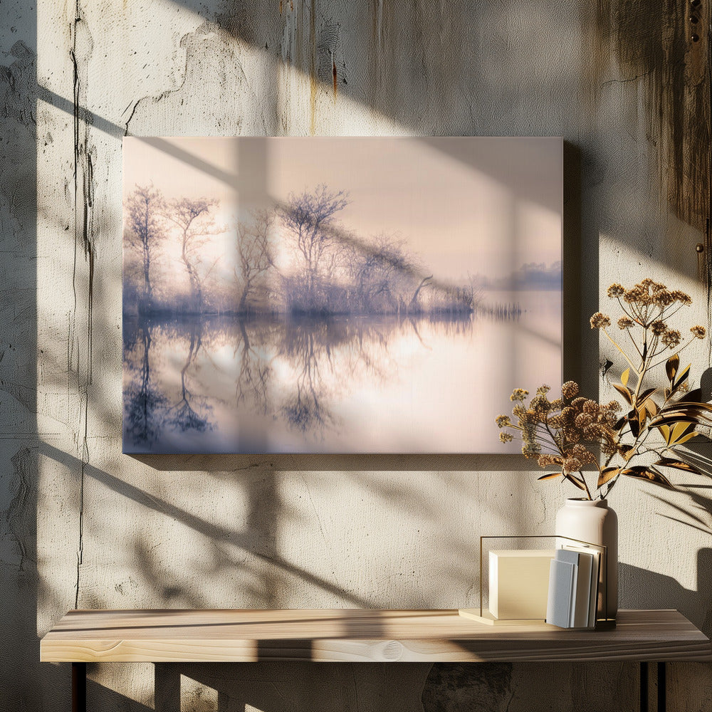 Cold morning at the pond