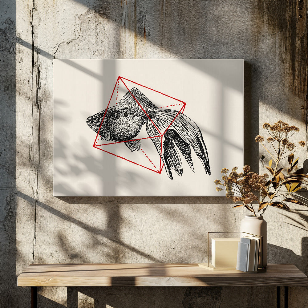 Fish In Geometrics Nº3