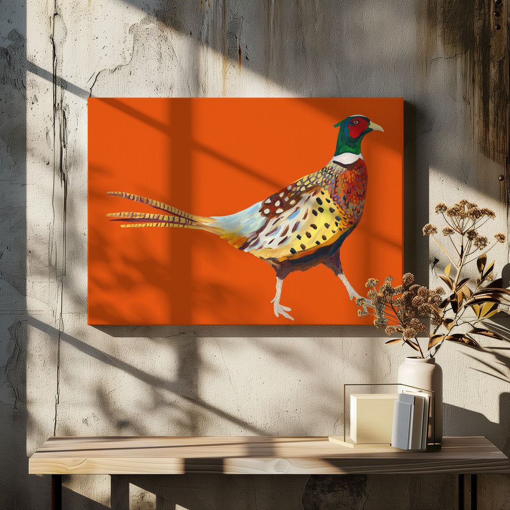 Strutting Pheasant On Orange
