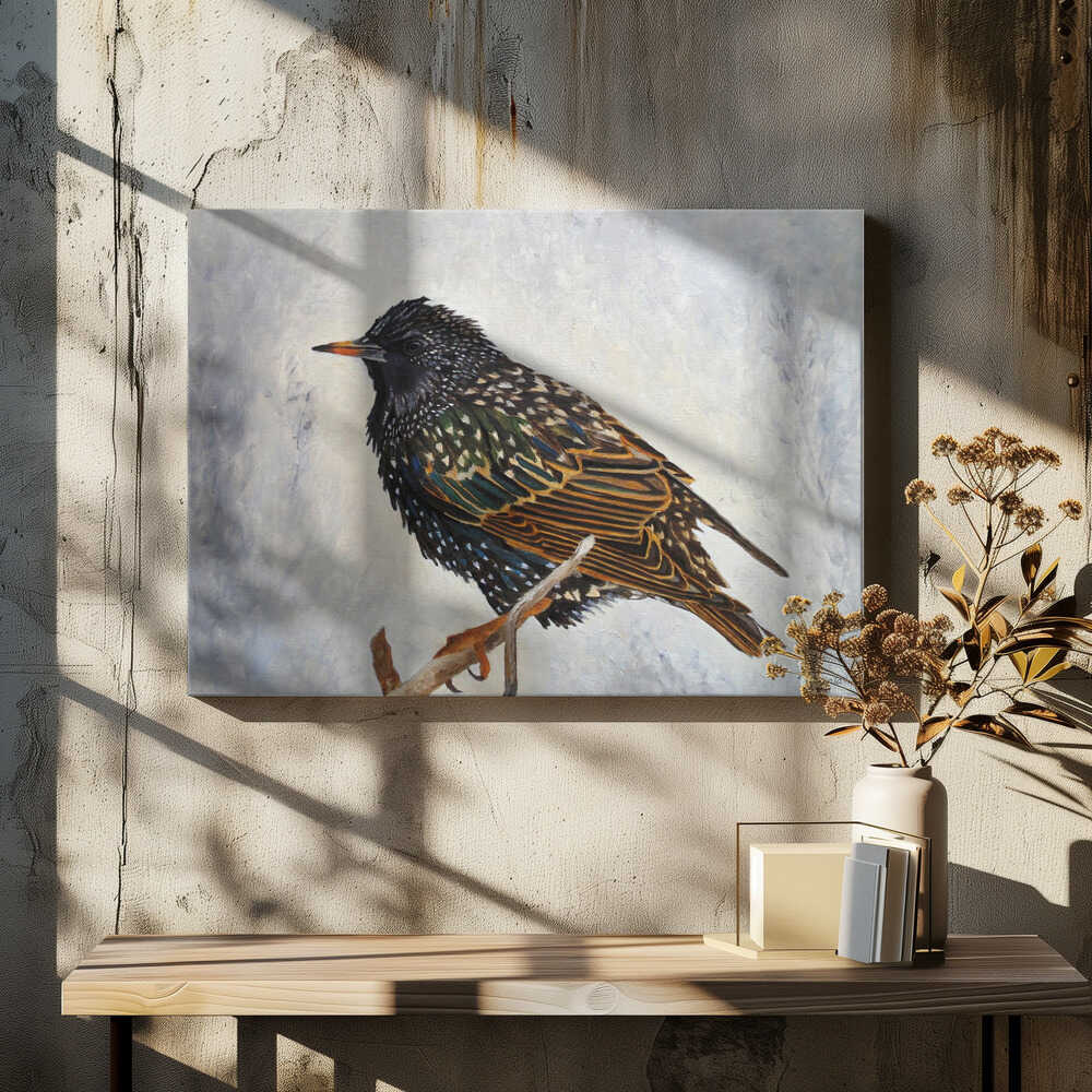 Wrapped Up European Starling