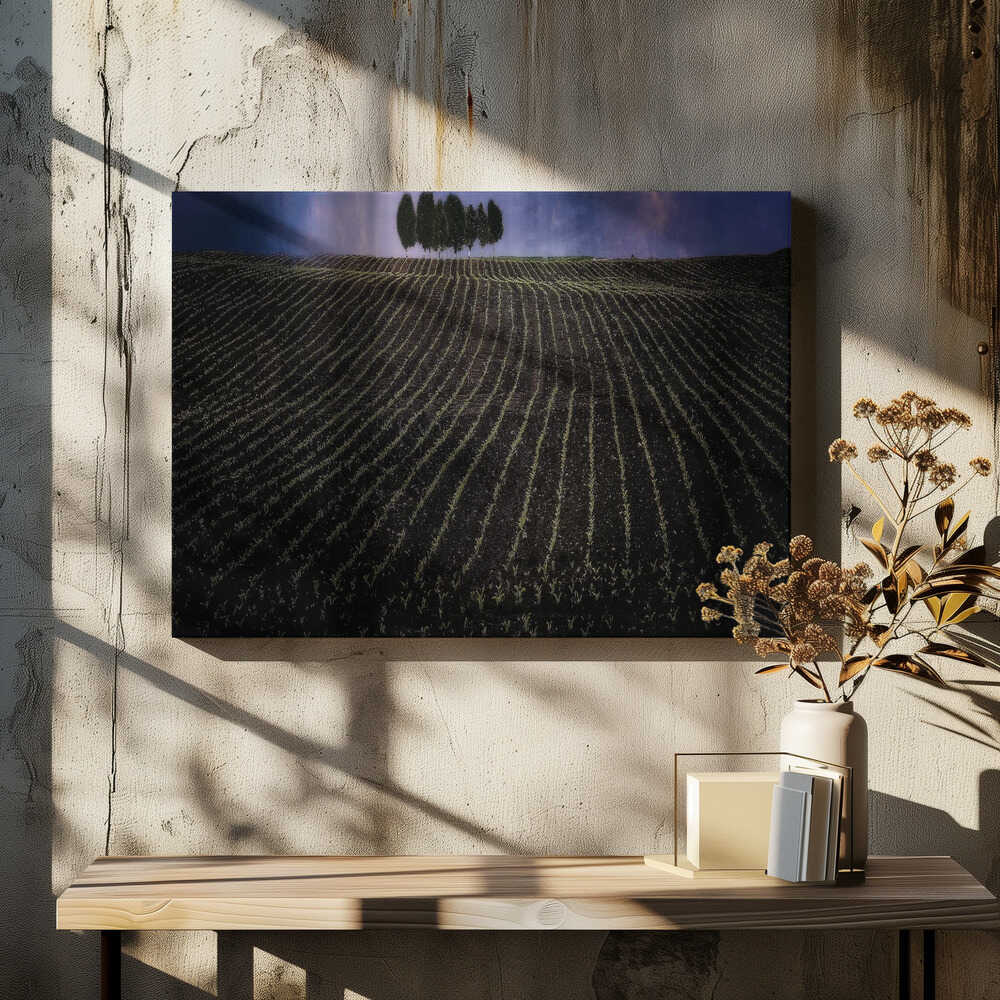 fields in early spring