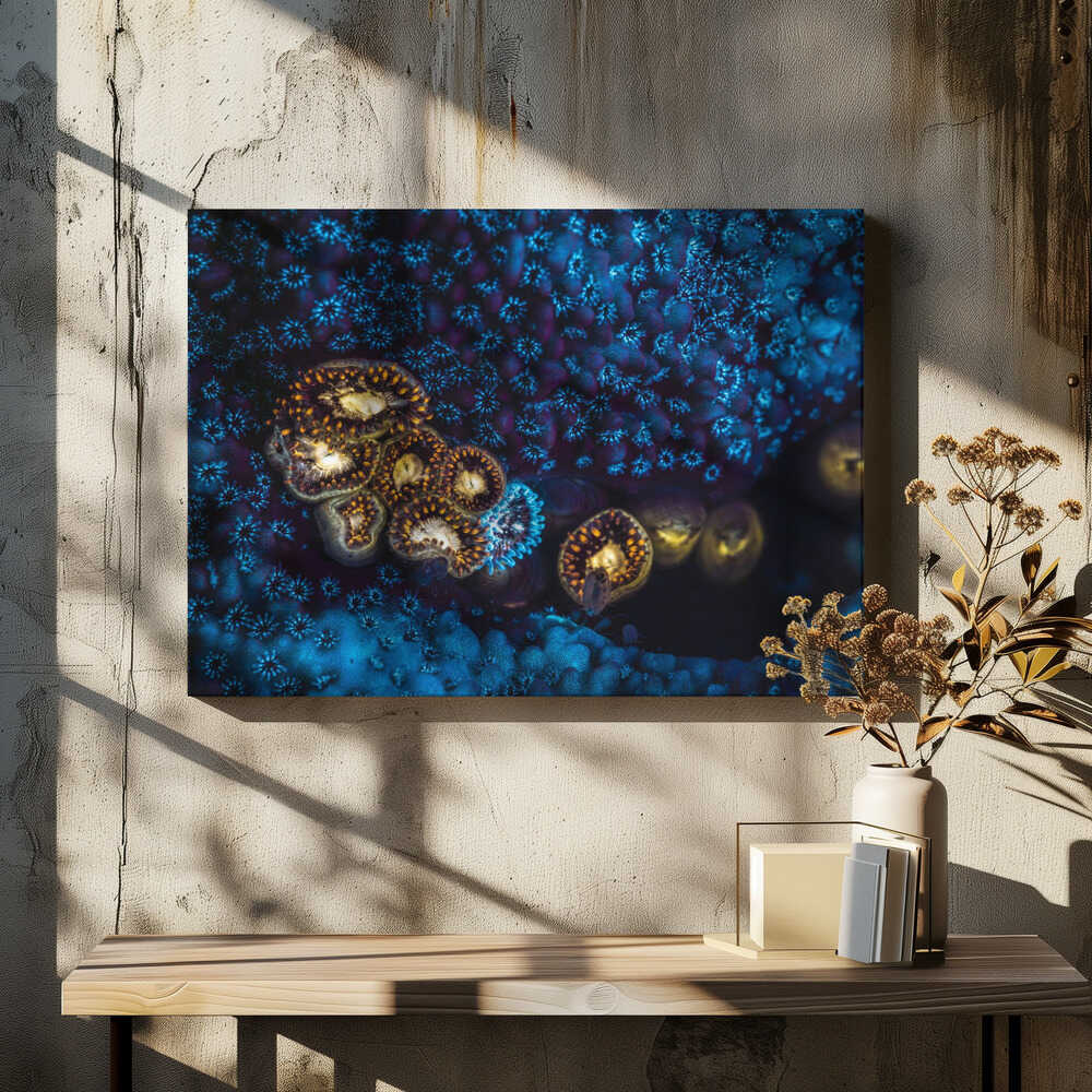 Anemone and Fluorescent Coral