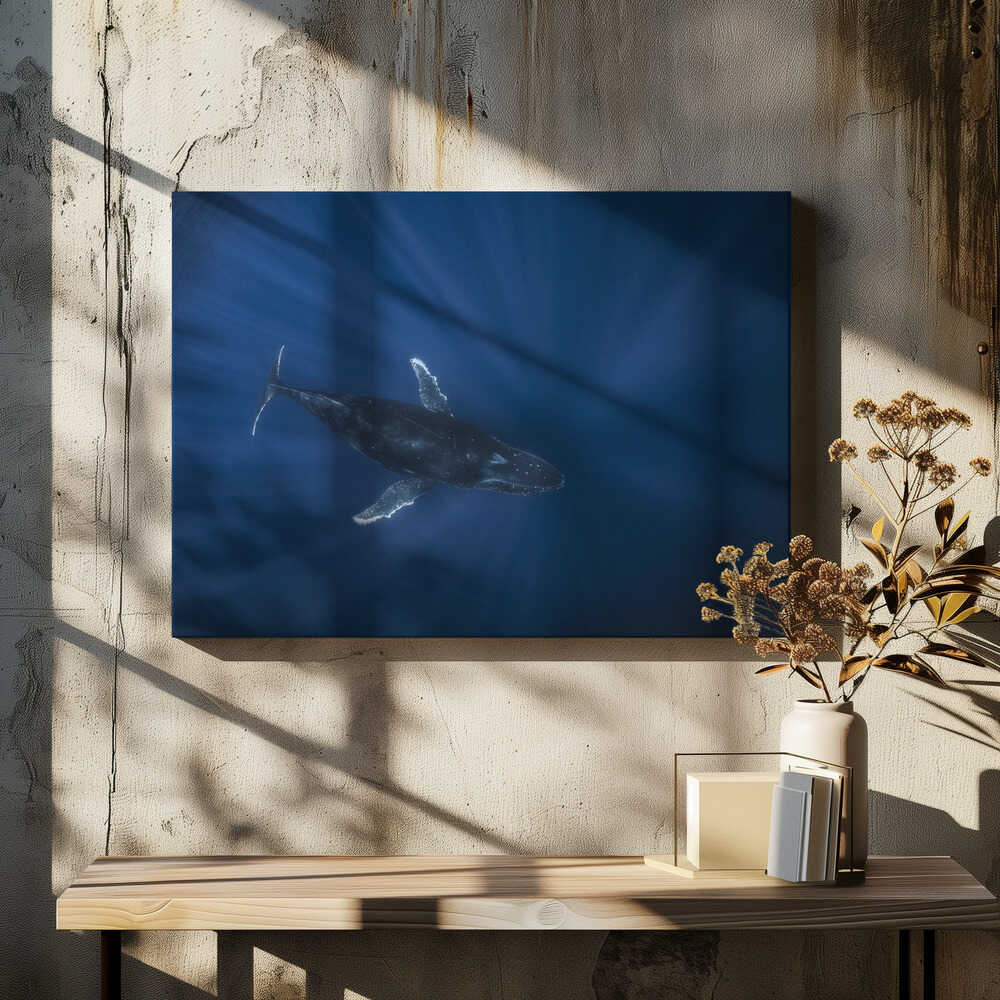 Air Megaptera approaching!