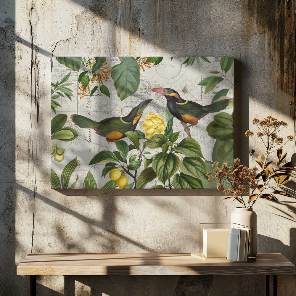 Parrots Nostalgic Journey 2