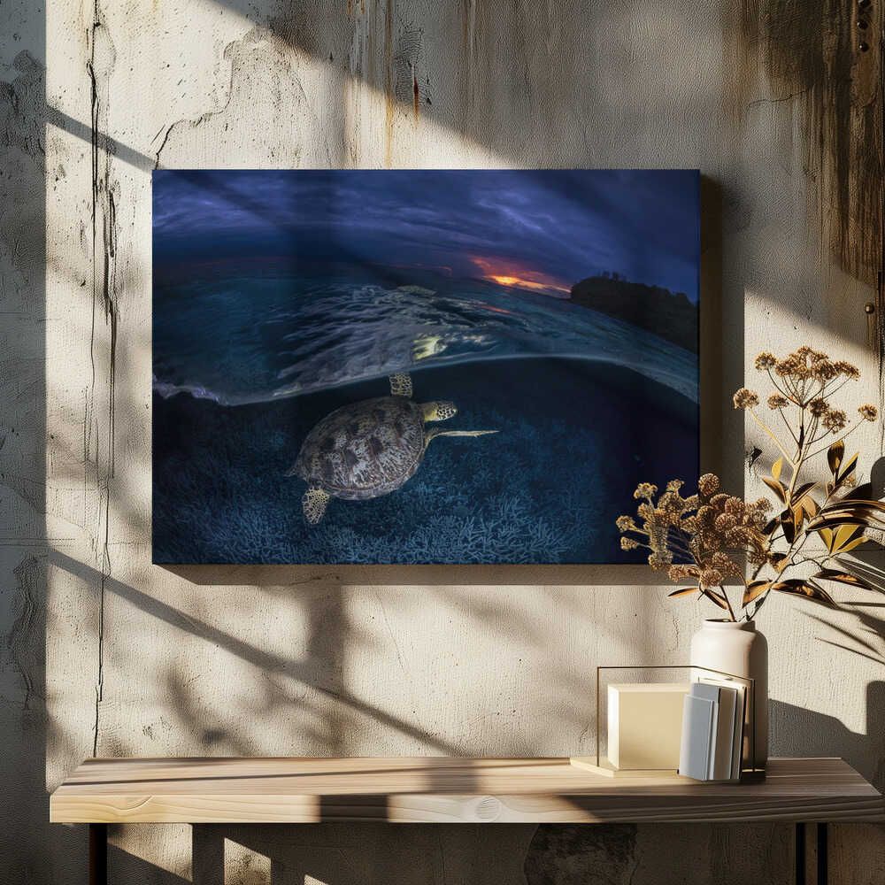 Green turtle at sunset