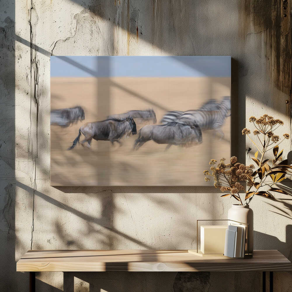 Racing in the savannah...