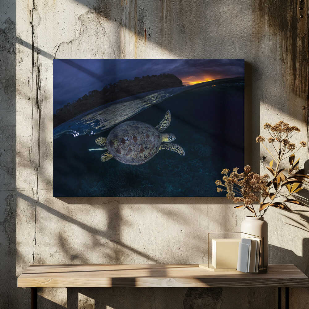 The green turtle and the blue hour