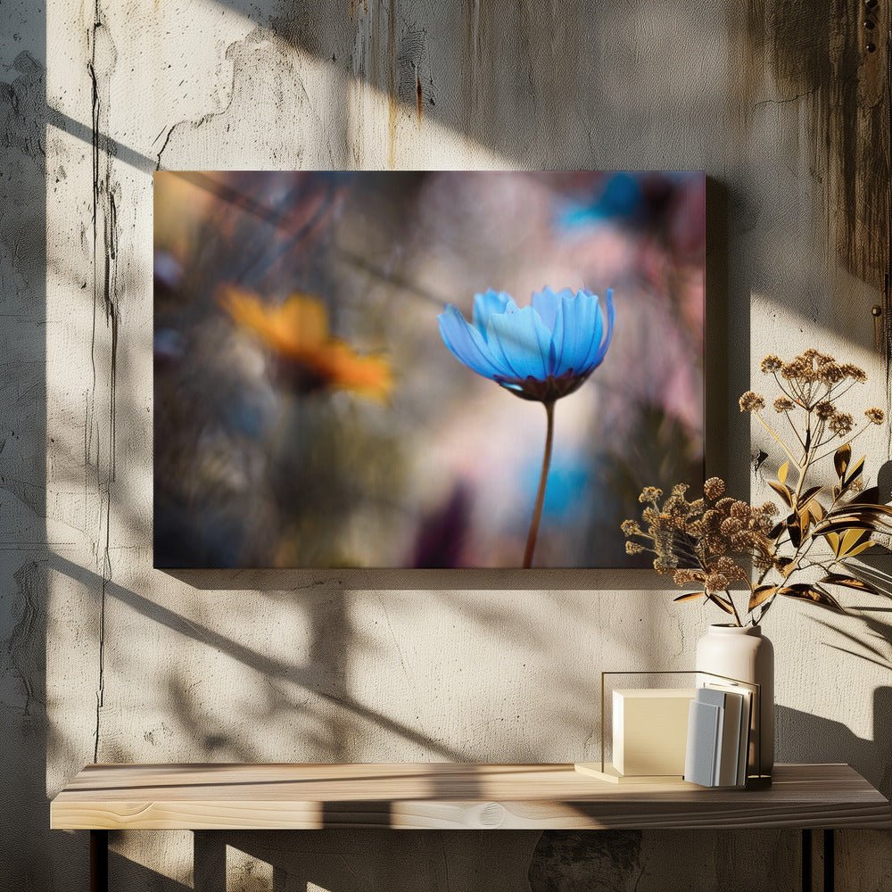 Do you wanna dance with me