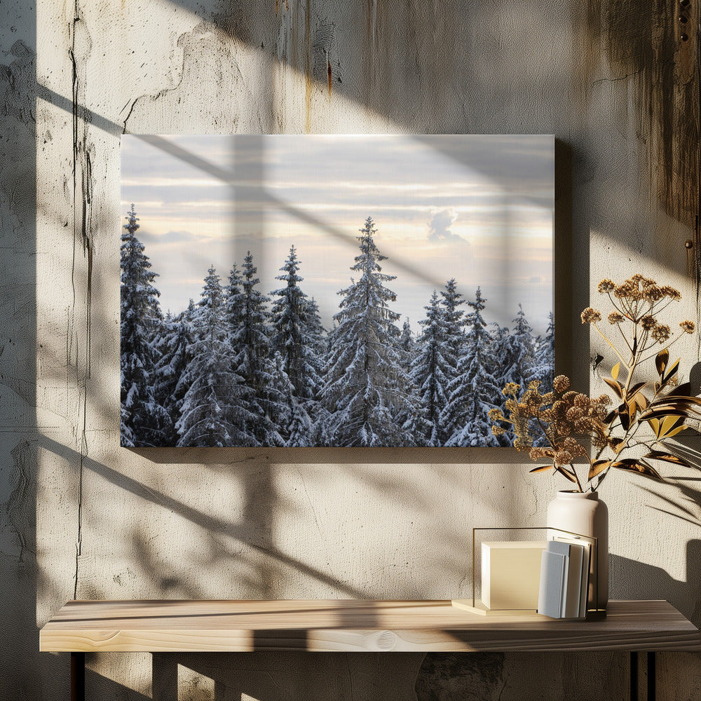 Snow Covered Trees 8