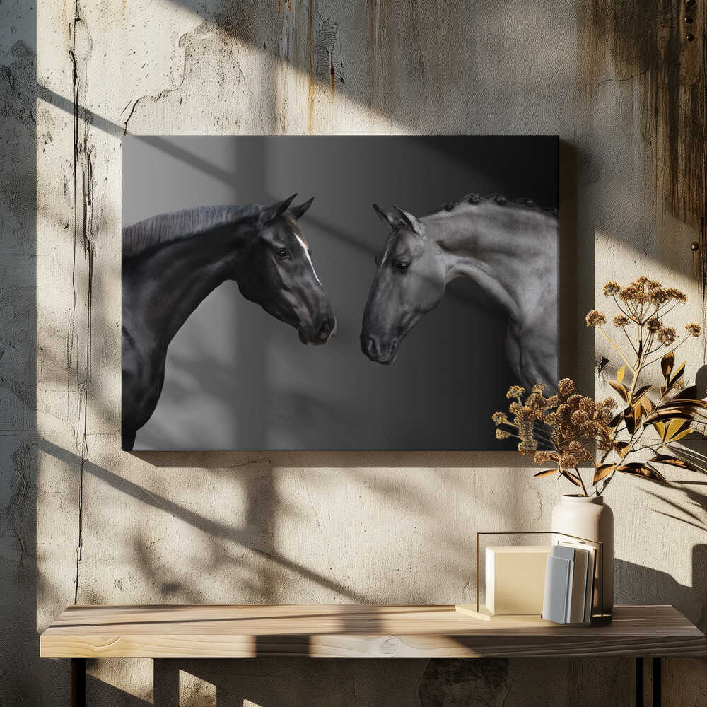 Fifty shades of gray…