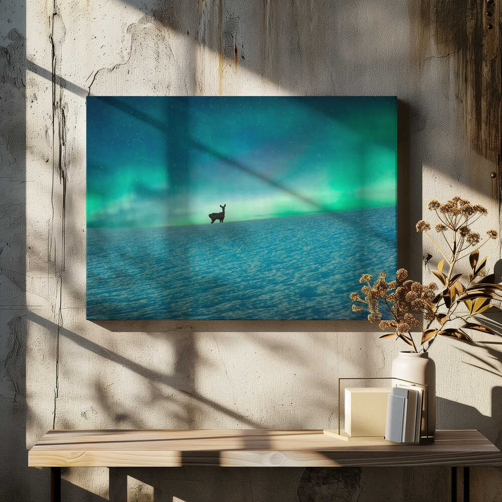 Deer and northern lights