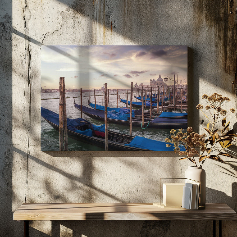 VENICE Gondolas & Santa Maria della Salute