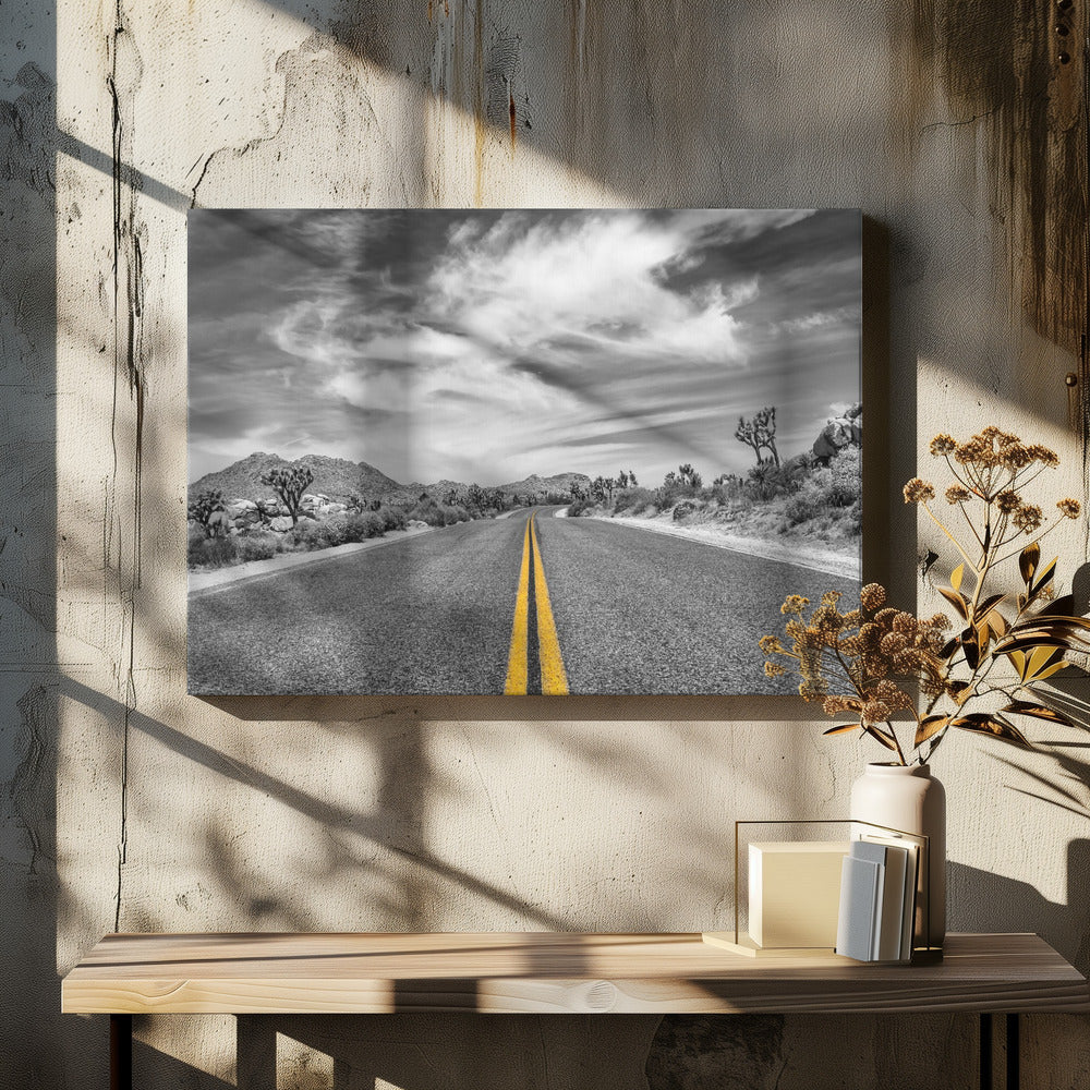 Park Boulevard, Joshua Tree National Park