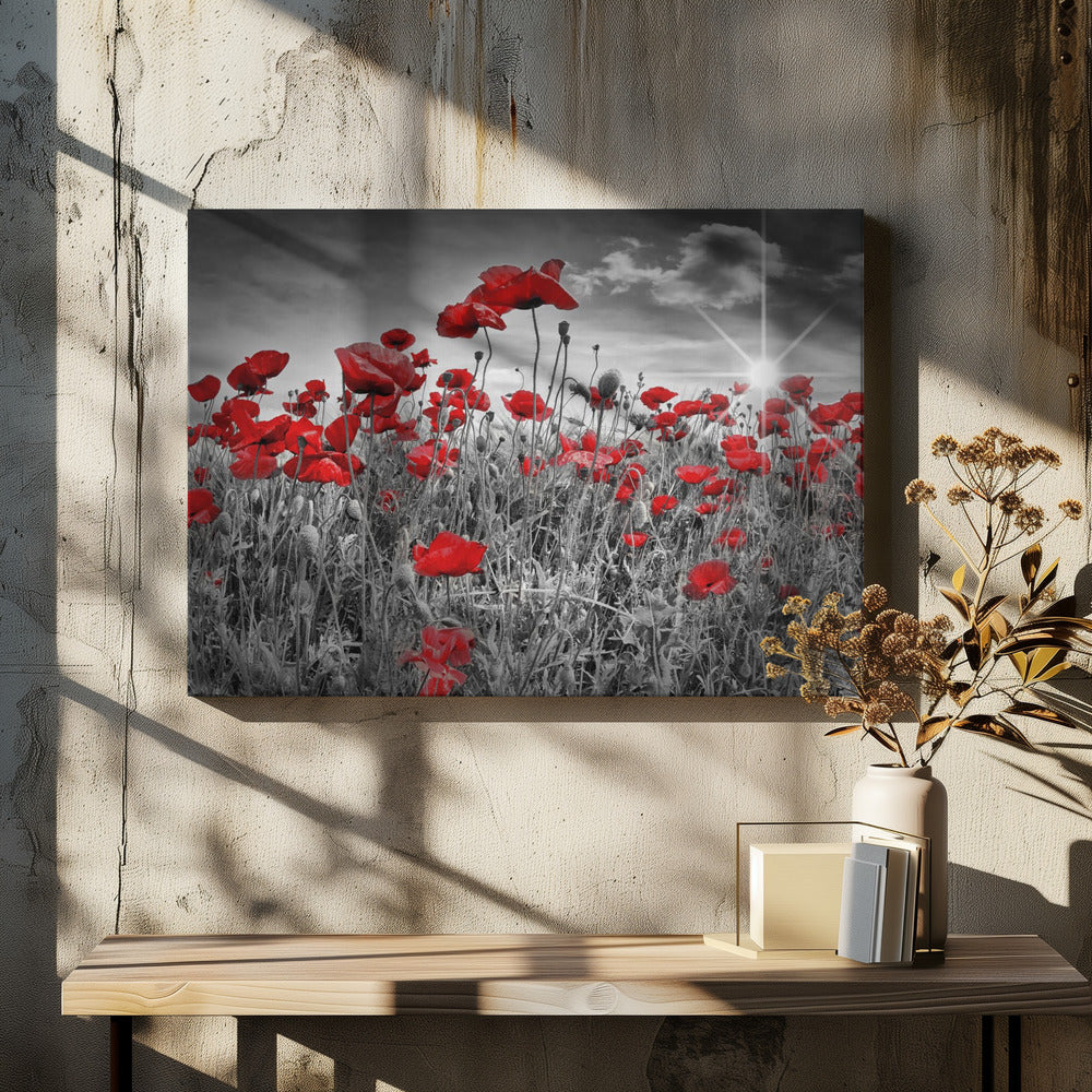 Idyllic Field of Poppies with Sun