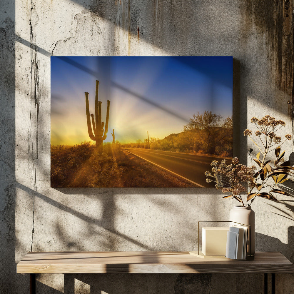 SAGUARO NATIONAL PARK Setting Sun