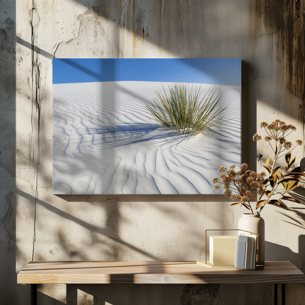 WHITE SANDS Idyllic scenery