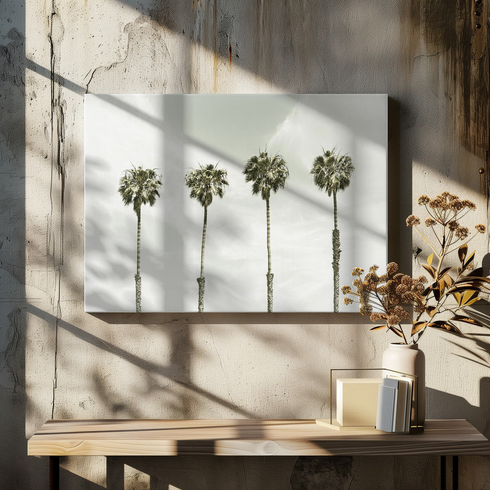 Palm Trees at the coast | Vintage