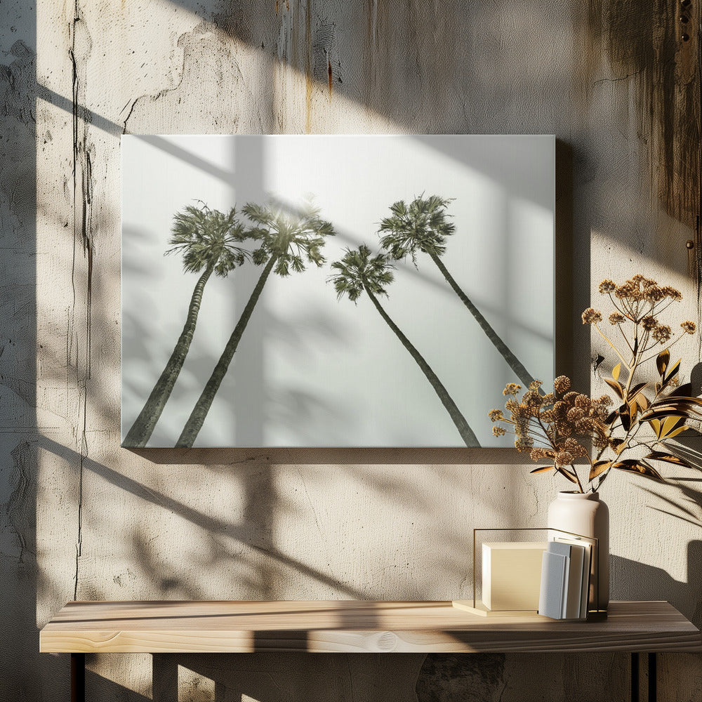 Lovely vintage palm trees in the sun