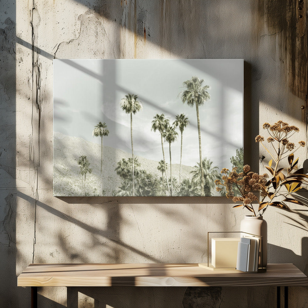 Palm Trees in the desert | Vintage