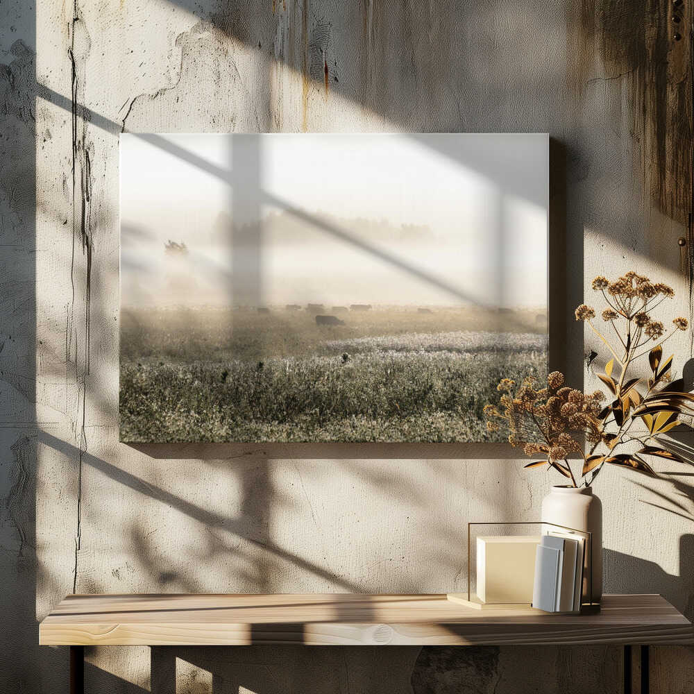 Cattle in Morning Mist