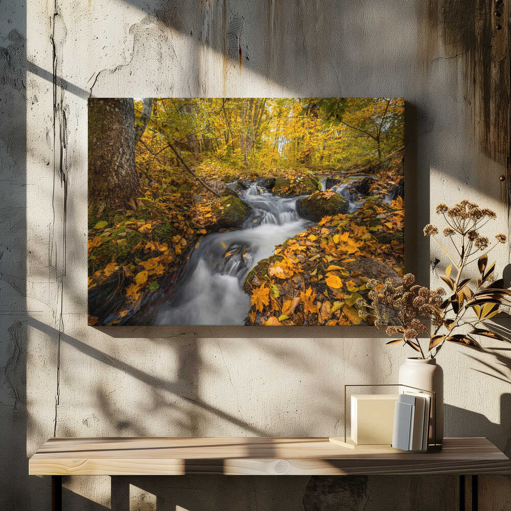 Stream in the forest v2