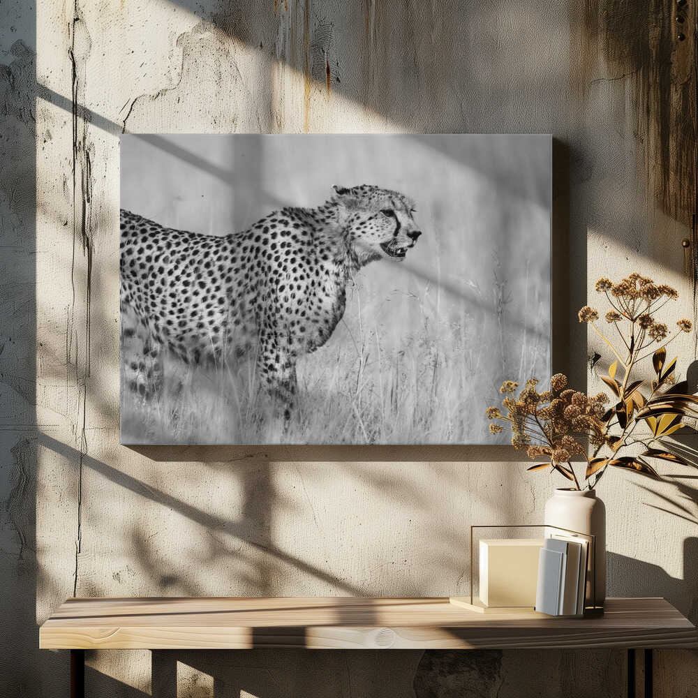 Side view of cheetah standing on field