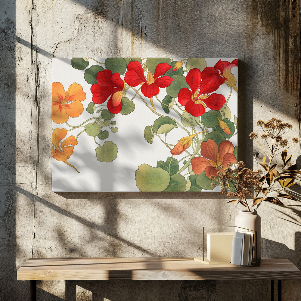 Nasturtium Flower No.2