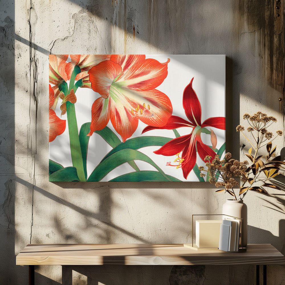 Vintage Amaryllis Flower No.2