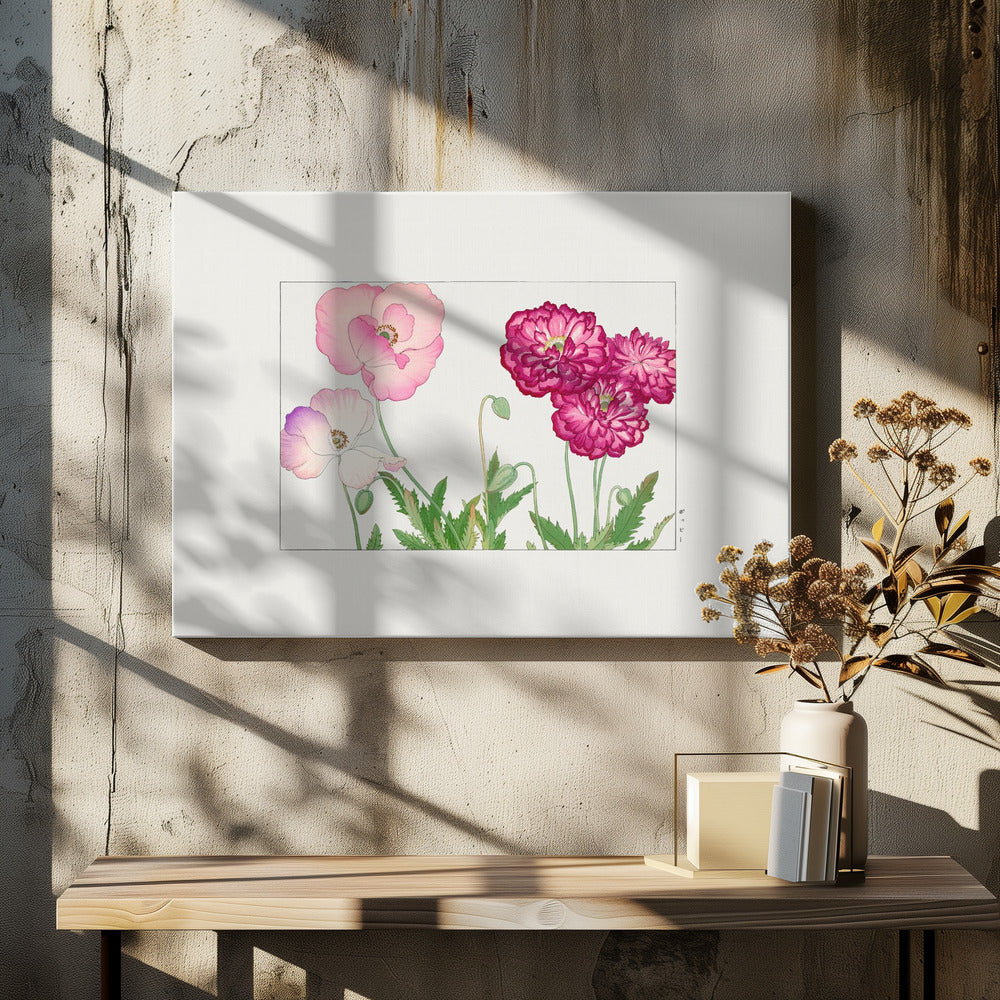 Vintage Poppy Flower No.1