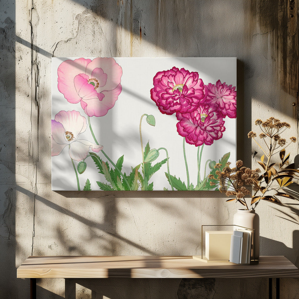 Vintage Poppy Flower No.2