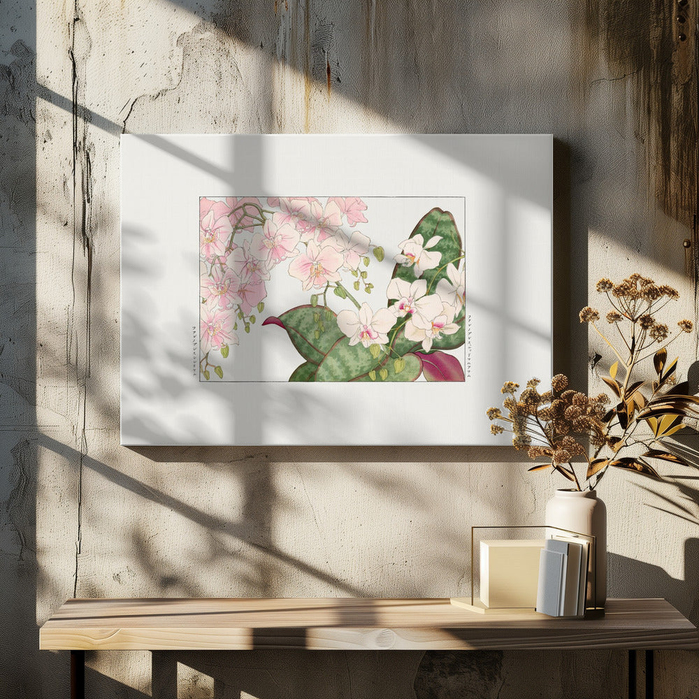 Vintage Orchid Flower