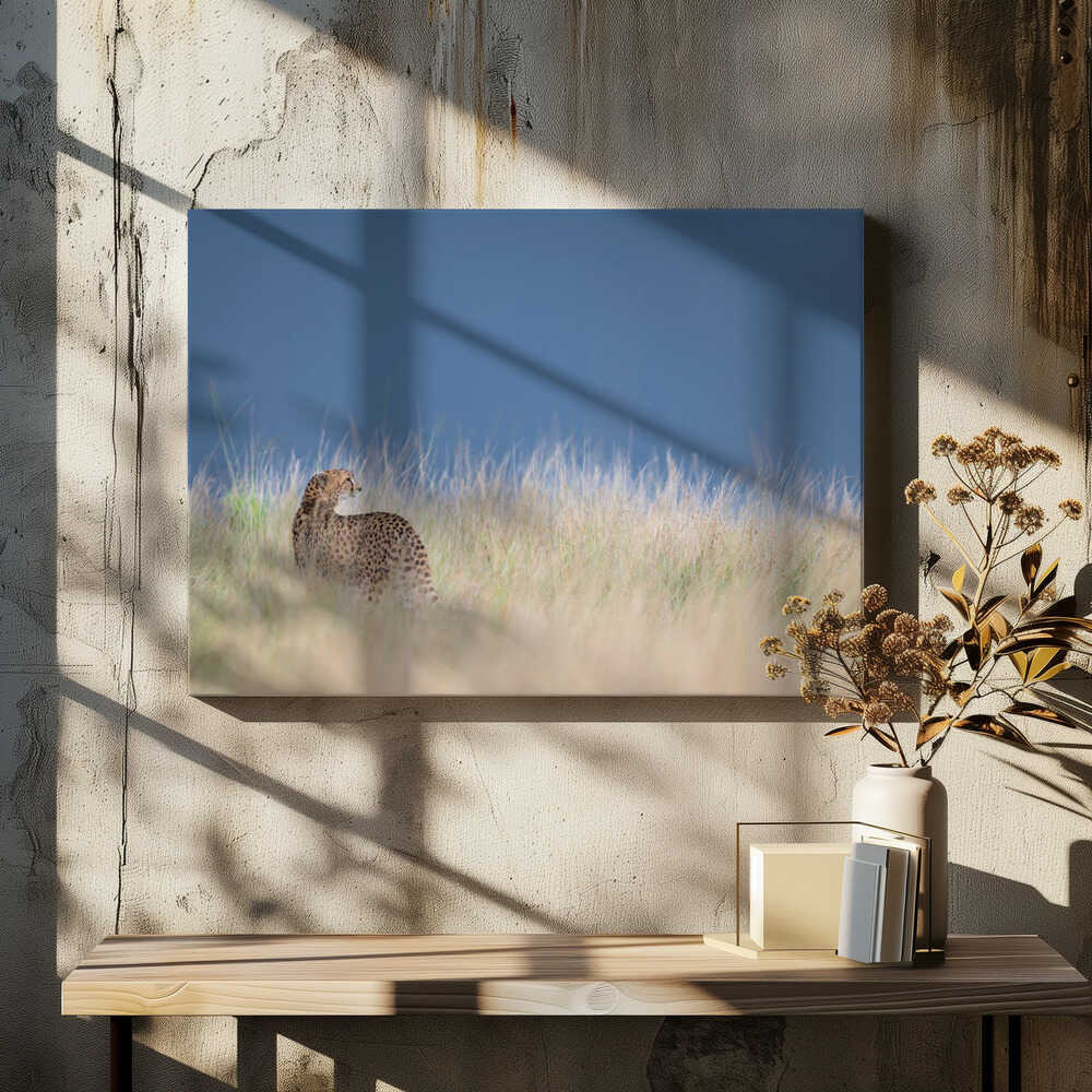 Young cheetah before some rain