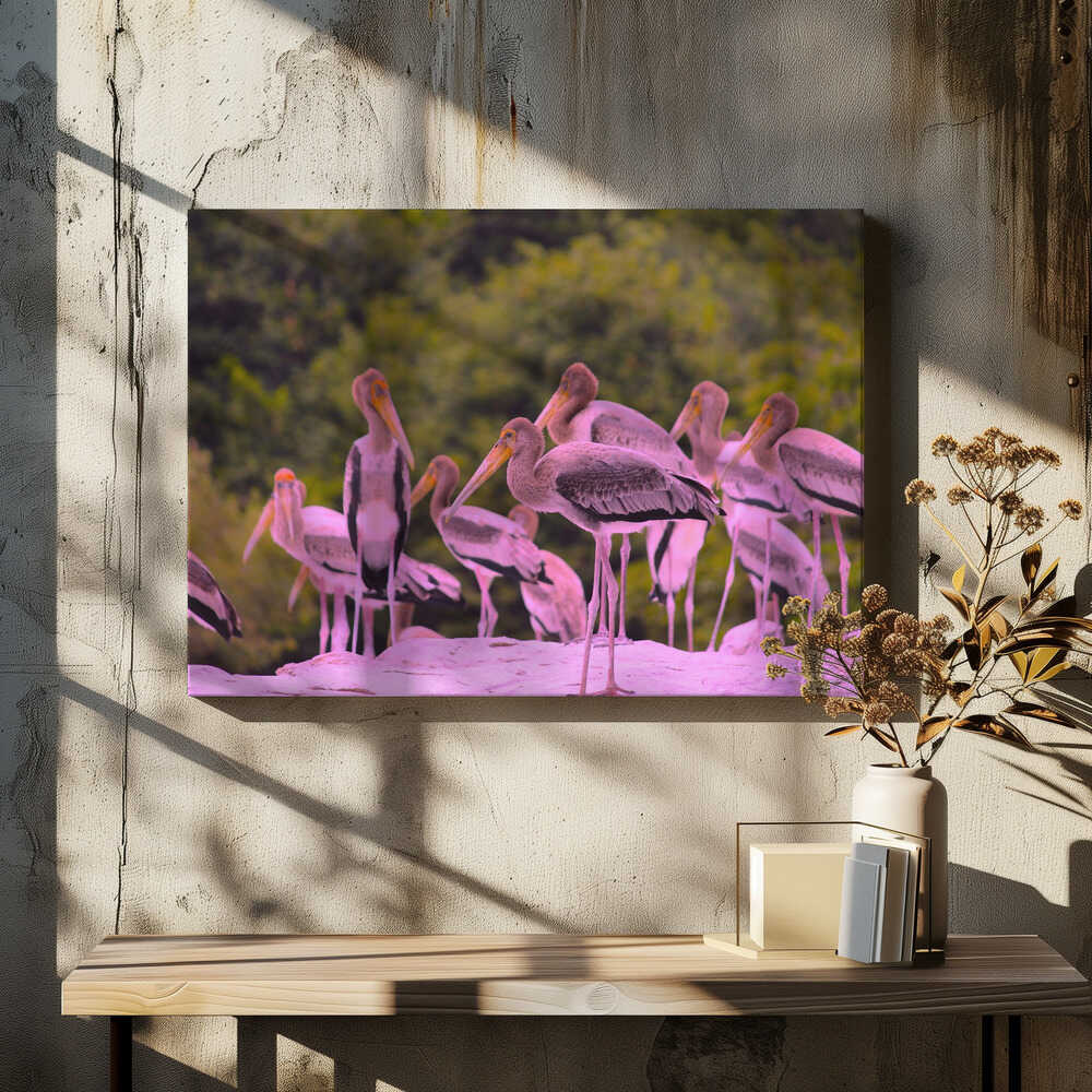 Pink Plumage Gathering