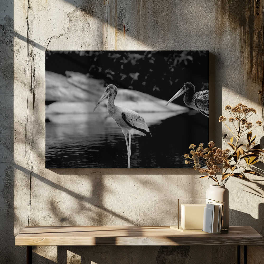 Serene Water Watchers