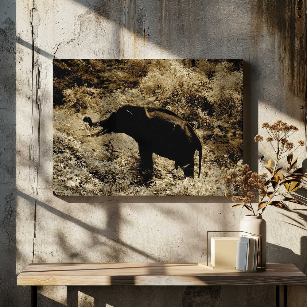 Sepia Elephant Stroll