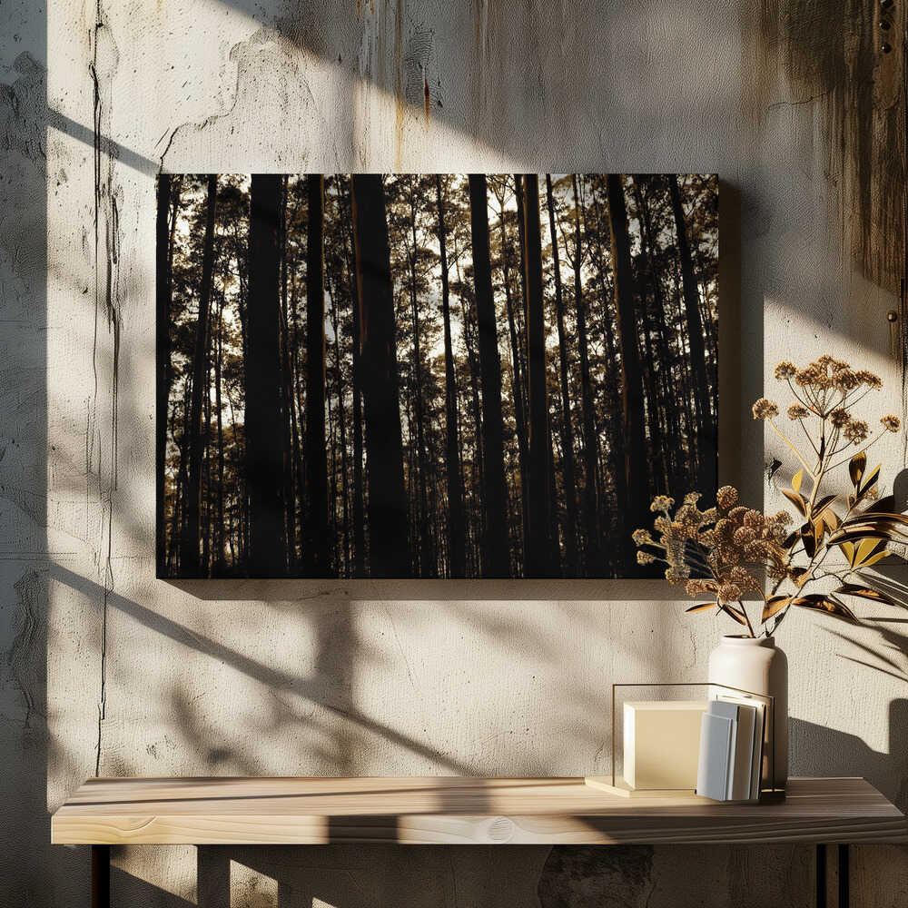 Silent Woods Whisper