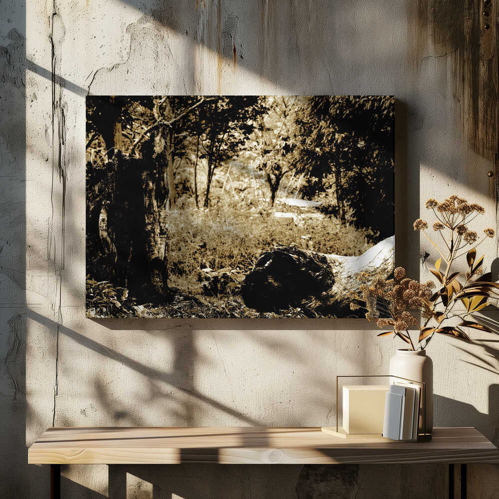 Timeless Woodland Scene