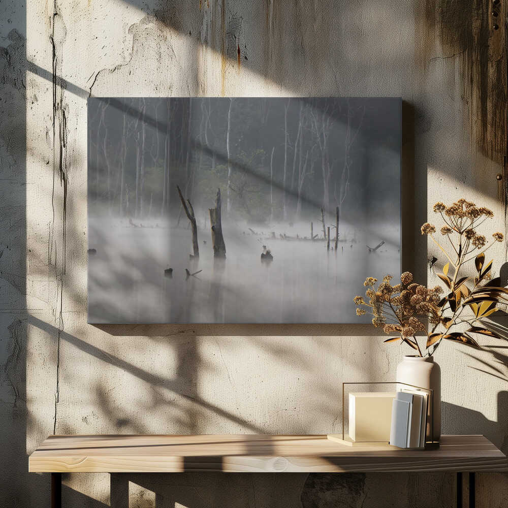 Misty Forest Stillness